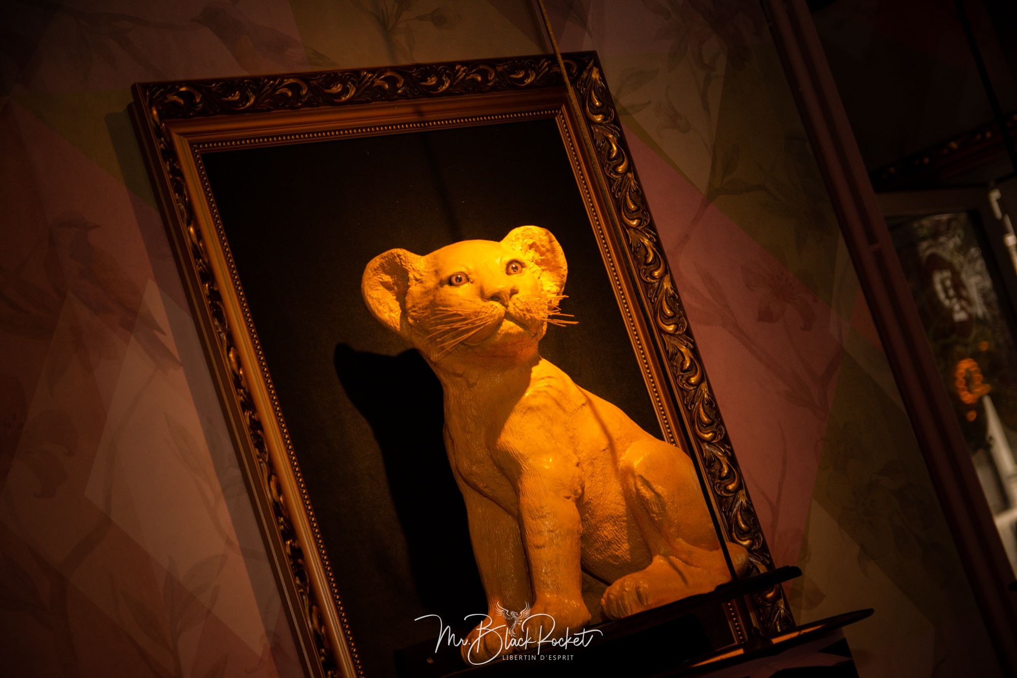 Pincho Nation