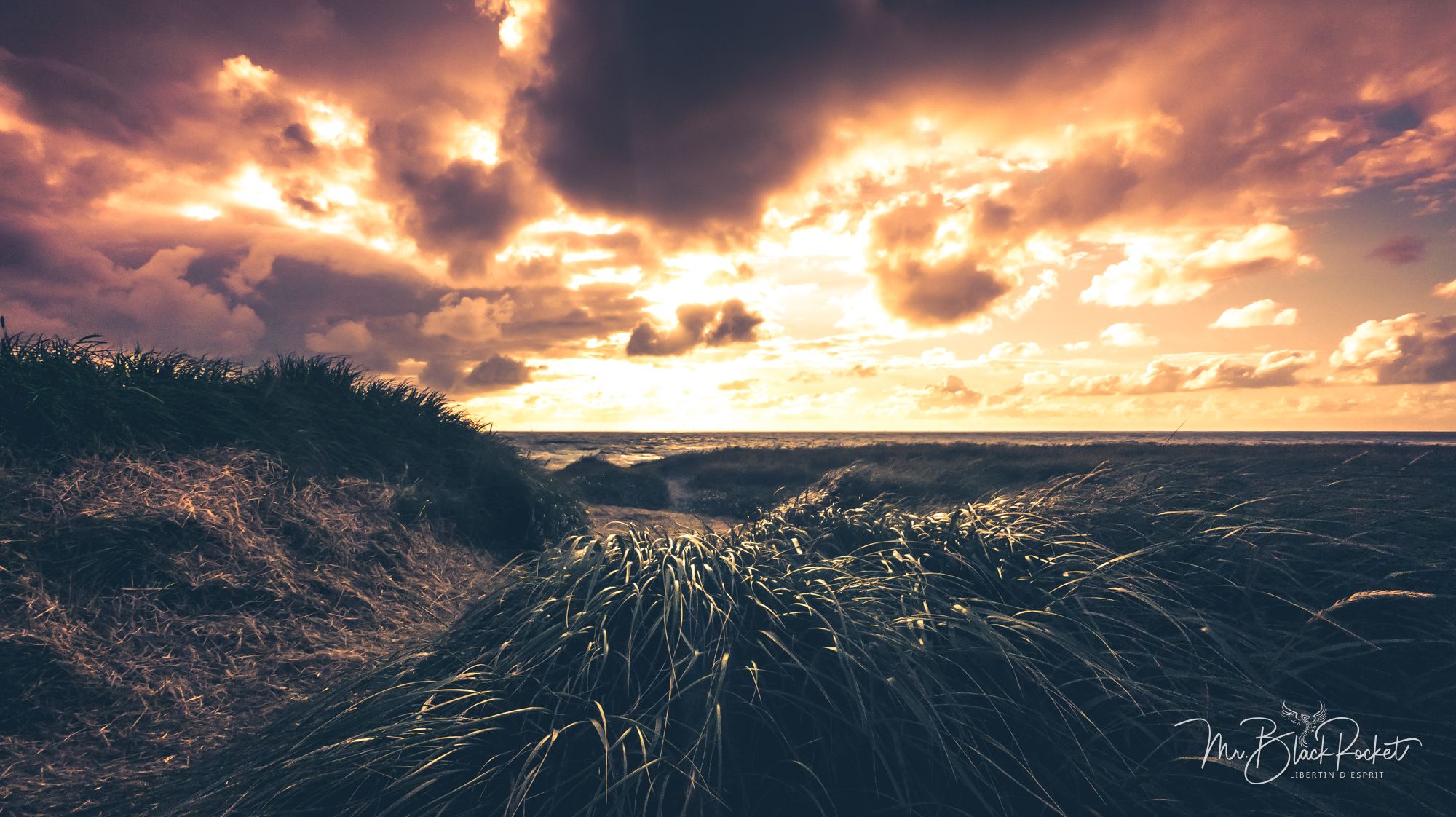 Dänemark 2023